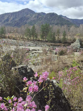 Обзор смартфона Samsung Galaxy A56: игра в классики