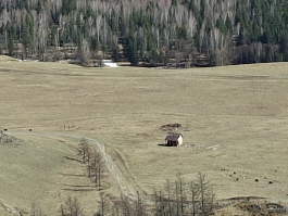 Обзор смартфона Samsung Galaxy A56: игра в классики