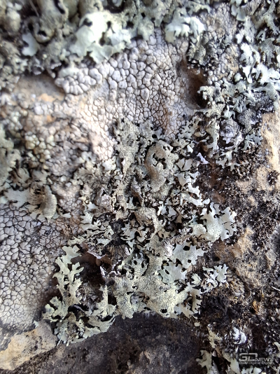 Обзор смартфона Samsung Galaxy A56: игра в классики