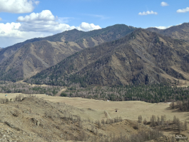 Обзор смартфона Samsung Galaxy A56: игра в классики