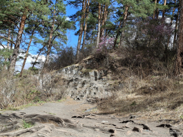 Обзор смартфона Samsung Galaxy A56: игра в классики