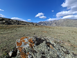 Обзор смартфона Samsung Galaxy A56: игра в классики