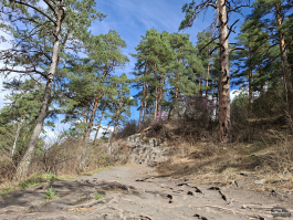 Обзор смартфона Samsung Galaxy A56: игра в классики