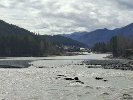 Обзор смартфона Samsung Galaxy A56: игра в классики