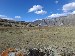 Обзор смартфона Samsung Galaxy A56: игра в классики