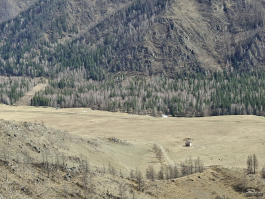 Обзор смартфона Samsung Galaxy A56: игра в классики