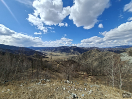 Обзор смартфона Samsung Galaxy A56: игра в классики