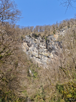 Обзор смартфона Xiaomi 15: горячая штучка