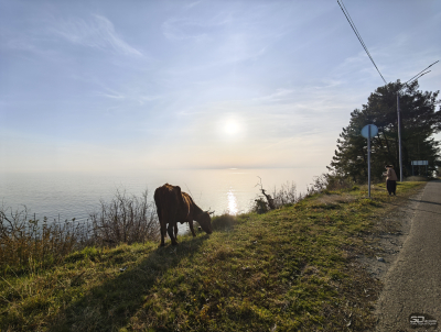 Обзор смартфона Xiaomi 15: горячая штучка