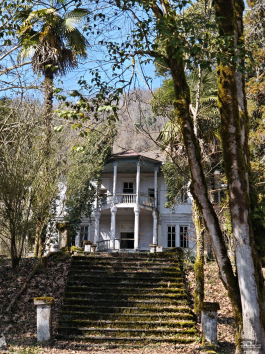 Обзор смартфона Xiaomi 15: горячая штучка