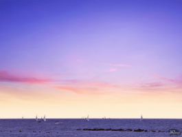 Обзор смартфона Xiaomi 15: горячая штучка