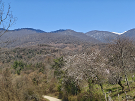 Обзор смартфона Xiaomi 15: горячая штучка