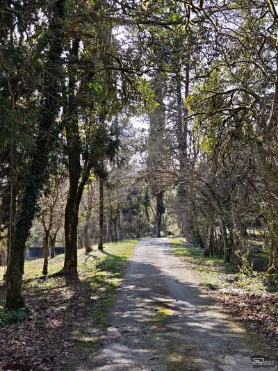 Обзор смартфона Xiaomi 15: горячая штучка