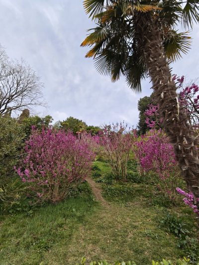 Обзор смартфона Xiaomi 15: горячая штучка