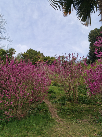 Обзор смартфона Xiaomi 15: горячая штучка