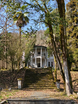 Обзор смартфона Xiaomi 15: горячая штучка