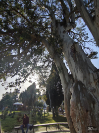 Обзор смартфона Xiaomi Redmi Note 14 Pro+ 5G: больше не по умолчанию