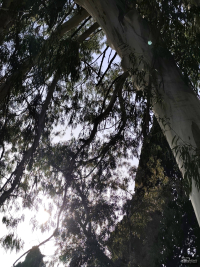 Обзор смартфона Xiaomi Redmi Note 14 Pro+ 5G: больше не по умолчанию