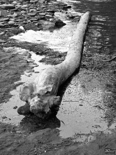 Samsung Galaxy S25 Ultra как инструмент тревел-блогера