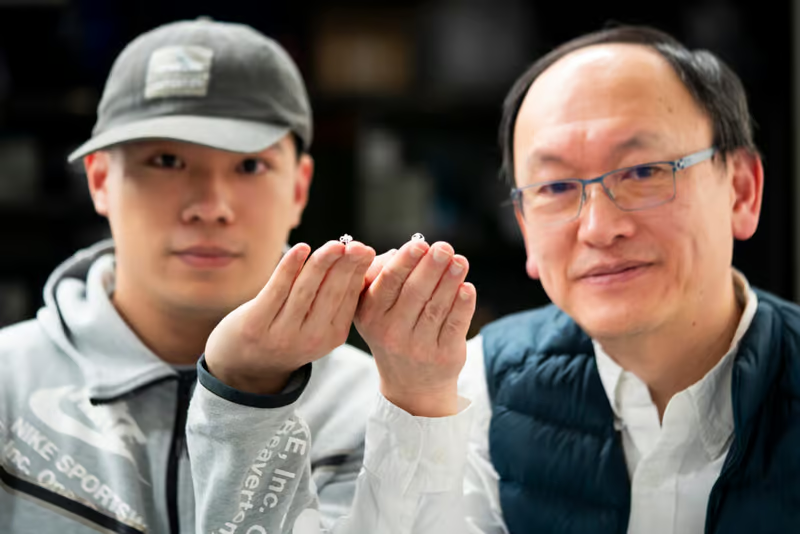 В США создали самого маленького в мире свободно летающего робота — в нём нет электроники