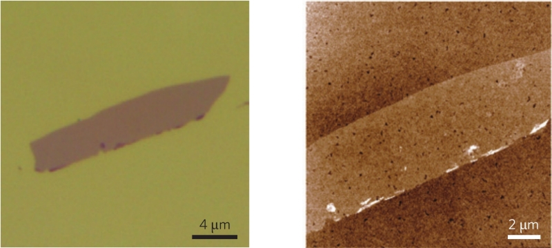 Двумерные полупроводники: ещё один подход к снаряду