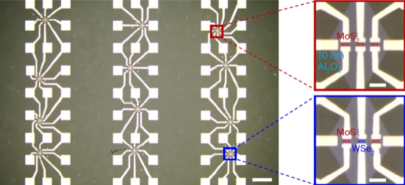 Двумерные полупроводники: ещё один подход к снаряду