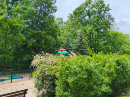 Обзор смартфона CMF Phone 2 Pro: все еще удивляет