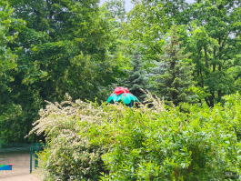 Обзор смартфона CMF Phone 2 Pro: все еще удивляет