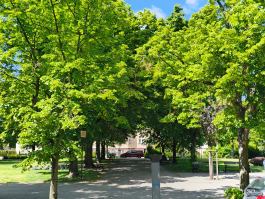 Обзор смартфона CMF Phone 2 Pro: все еще удивляет