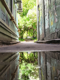 Обзор смартфона HONOR 400 Lite: ставка на обаяние