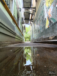 Обзор смартфона HONOR 400 Lite: ставка на обаяние