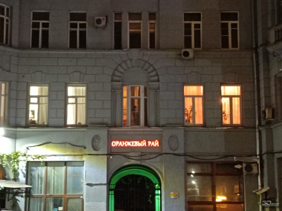 Обзор смартфона HONOR 400 Lite: ставка на обаяние