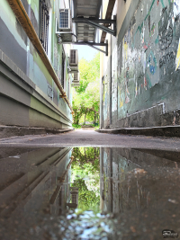 Обзор смартфона HONOR 400 Lite: ставка на обаяние