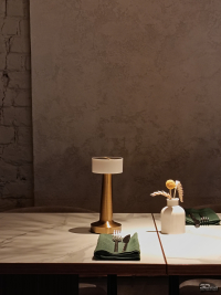 Обзор смартфона HONOR 400 Lite: ставка на обаяние