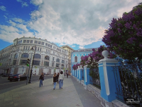 Обзор смартфона HONOR 400 Lite: ставка на обаяние