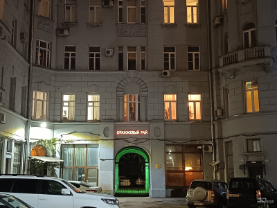 Обзор смартфона HONOR 400 Lite: ставка на обаяние