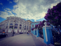 Обзор смартфона HONOR 400 Lite: ставка на обаяние