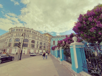 Обзор смартфона HONOR 400 Lite: ставка на обаяние