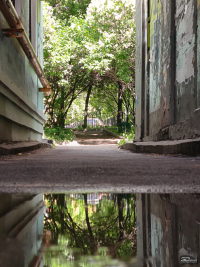 Обзор смартфона HONOR 400 Lite: ставка на обаяние