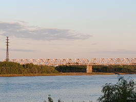 Обзор смартфона realme 14 5G: мощность на каждый день