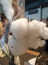 Обзор смартфона TECNO CAMON 40 Pro 5G: искусственный интеллект круче, чем у флагманов