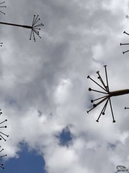 Обзор смартфона TECNO CAMON 40 Pro 5G: искусственный интеллект круче, чем у флагманов