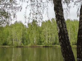 Обзор смартфона TECNO CAMON 40 Pro 5G: искусственный интеллект круче, чем у флагманов