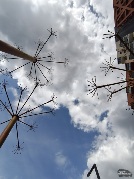 Обзор смартфона TECNO CAMON 40 Pro 5G: искусственный интеллект круче, чем у флагманов