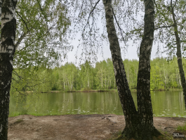 Обзор смартфона TECNO CAMON 40 Pro 5G: искусственный интеллект круче, чем у флагманов