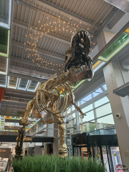 Обзор смартфона TECNO CAMON 40 Pro 5G: искусственный интеллект круче, чем у флагманов