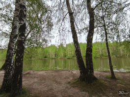 Обзор смартфона TECNO CAMON 40 Pro 5G: искусственный интеллект круче, чем у флагманов