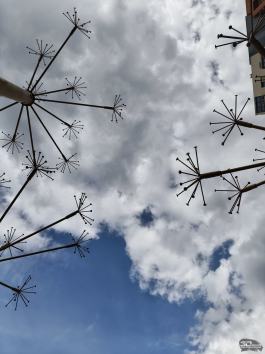 Обзор смартфона TECNO CAMON 40 Pro 5G: искусственный интеллект круче, чем у флагманов