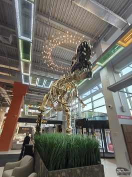 Обзор смартфона TECNO CAMON 40 Pro 5G: искусственный интеллект круче, чем у флагманов