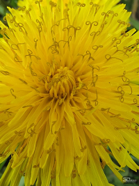 Обзор смартфона TECNO CAMON 40 Pro 5G: искусственный интеллект круче, чем у флагманов